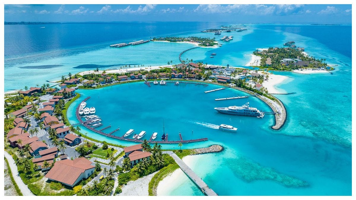 thewinepress.substack.com