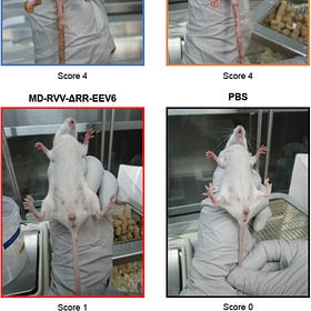 Japanese GMO Virus Spike creator continues to produce the goods