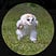 Suzanne Smith's avatar