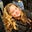 Carol Kluge's avatar