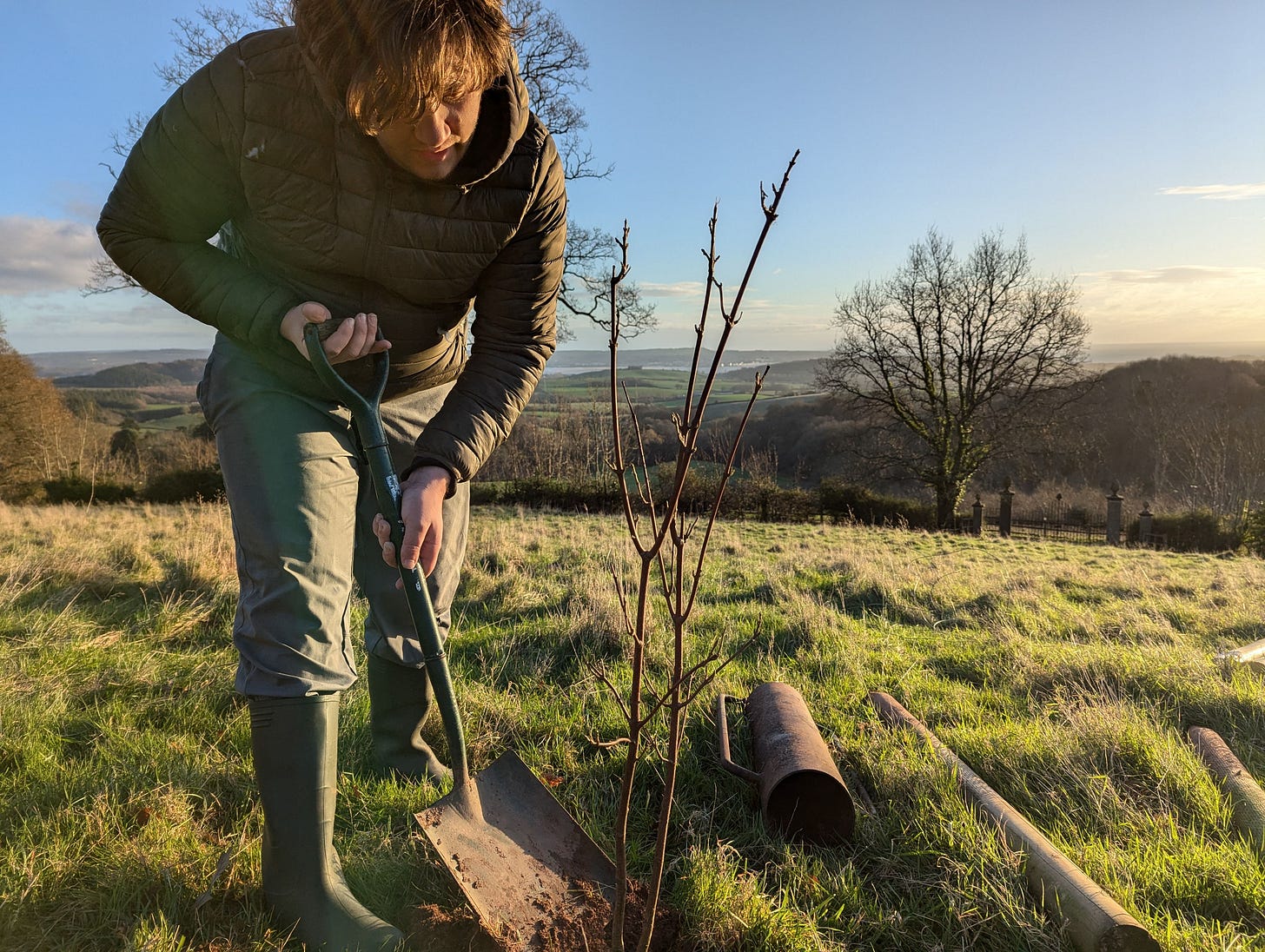 A Tree with a View over Exmouth A Tree with a View over Exmouth