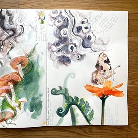 Nature in Detail drawing session - replay