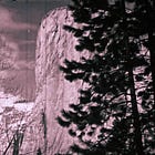 In Search of Wilderness | James Hatley