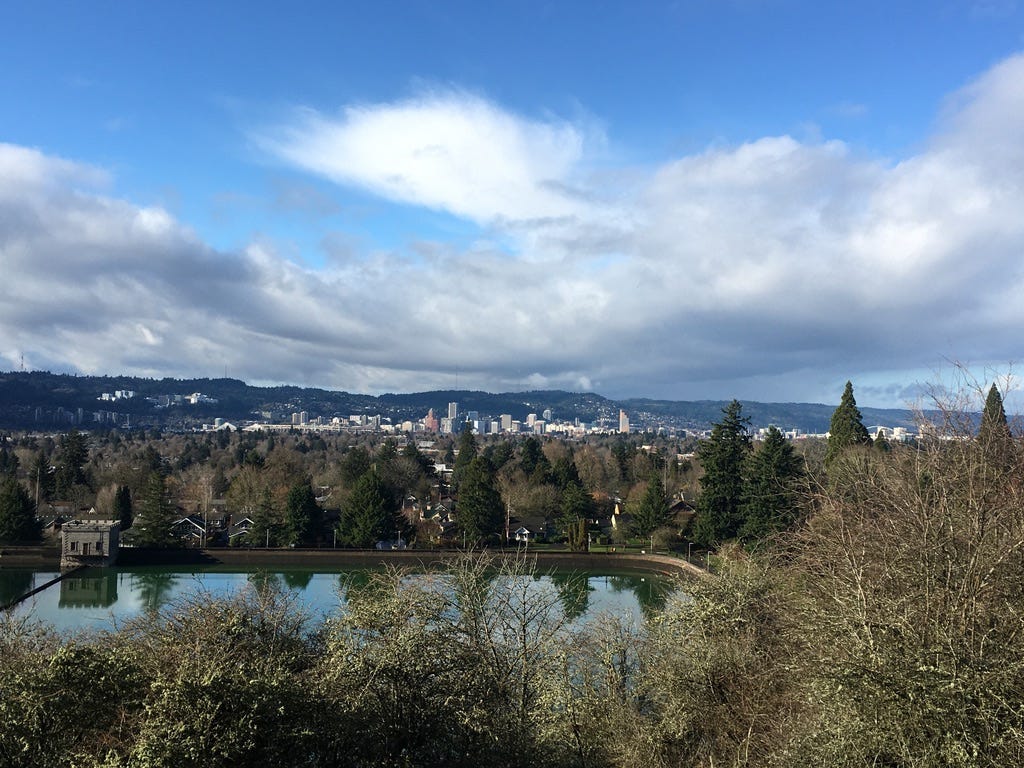 A body of water with trees and a city in the background

Description automatically generated with medium confidence