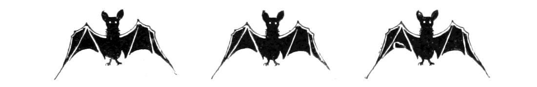 Decorative divider. Three cute bats. Modified vintage illustration.