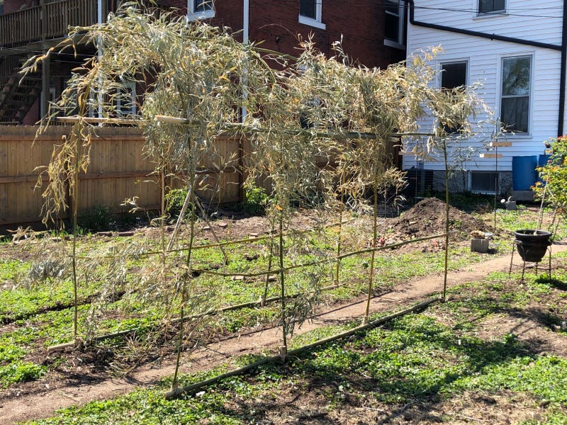 Arch_Full1 Arch_Full1