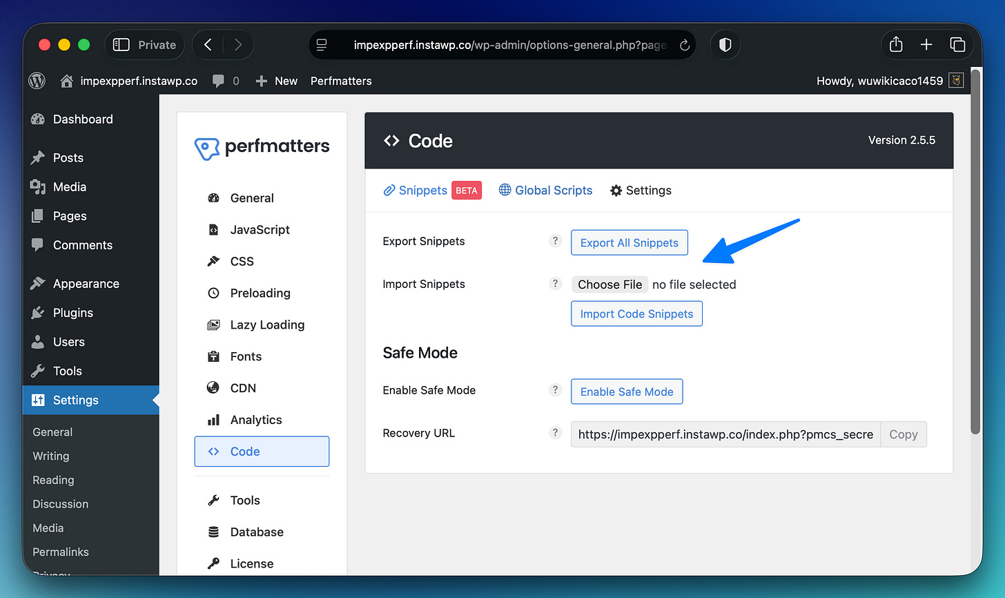 Perfmatters code snippets import/export Perfmatters code snippets import/export