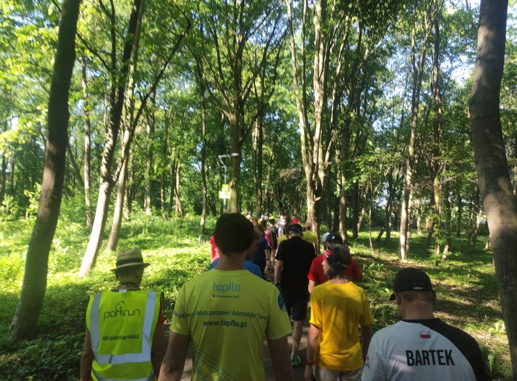 Group of runners walk to the start, on a path bordered by tall thin trees