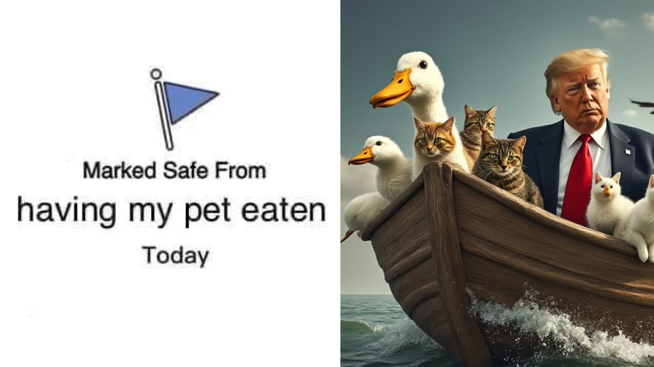 Dogs 'Mark Themselves Safe' After Trump Claims Haitians Eating Pets In  Springfield, Ohio | Times Now