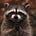 Robin Wigglesworth's avatar