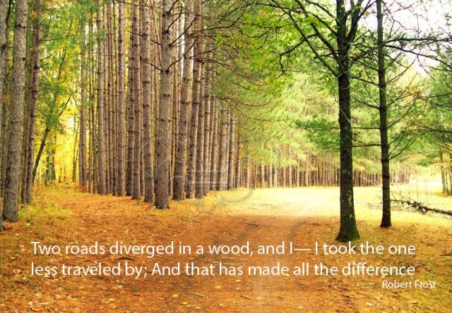 Some Personal Thoughts on 'The Road not Taken' by Robert Frost – Reviews  Rants and Rambles