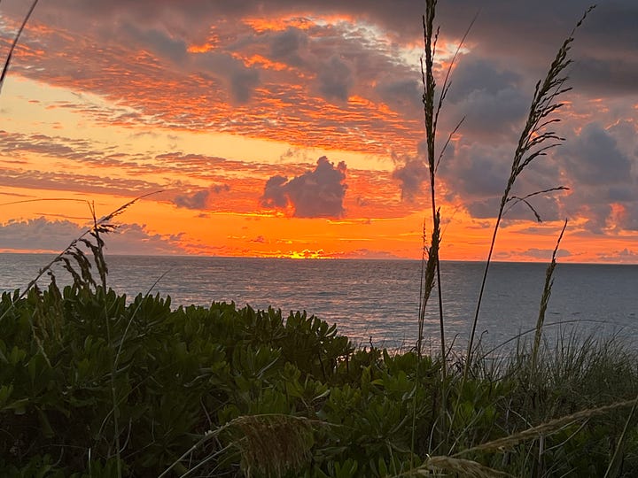 Hutchinson Island, Stuart Florida