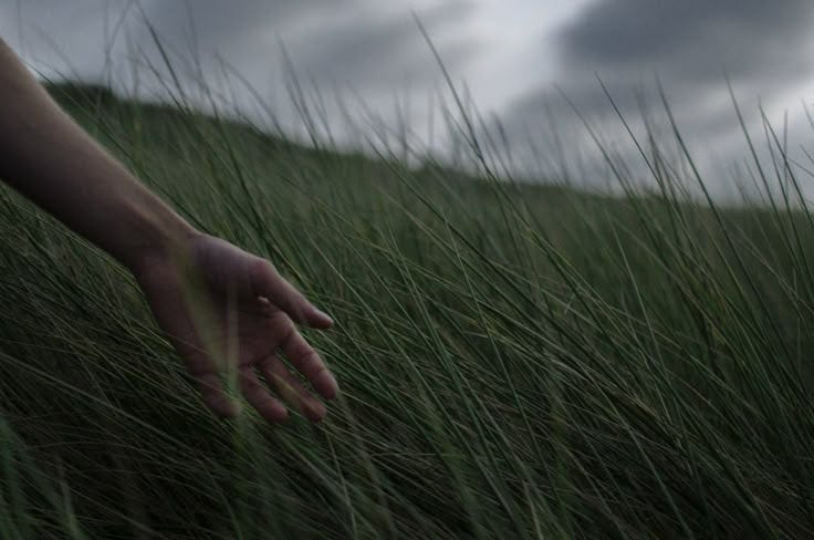This may contain: a hand reaching for something in the tall grass on a hill under a cloudy sky
