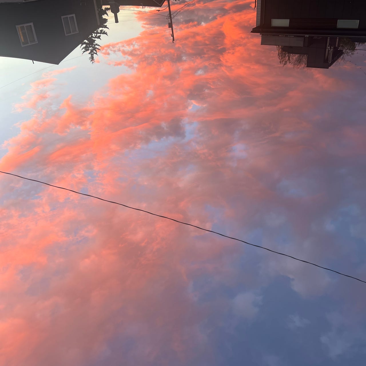 daydreams and delays