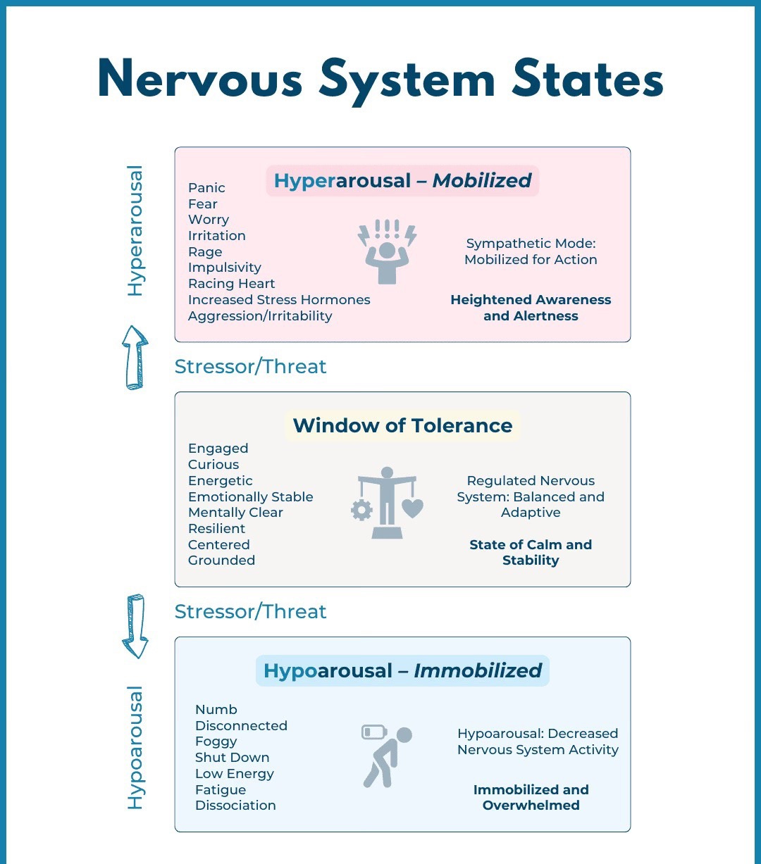 Overactive Rage System Grief, Rage, and the Nervous System in an Authoritarian Moment