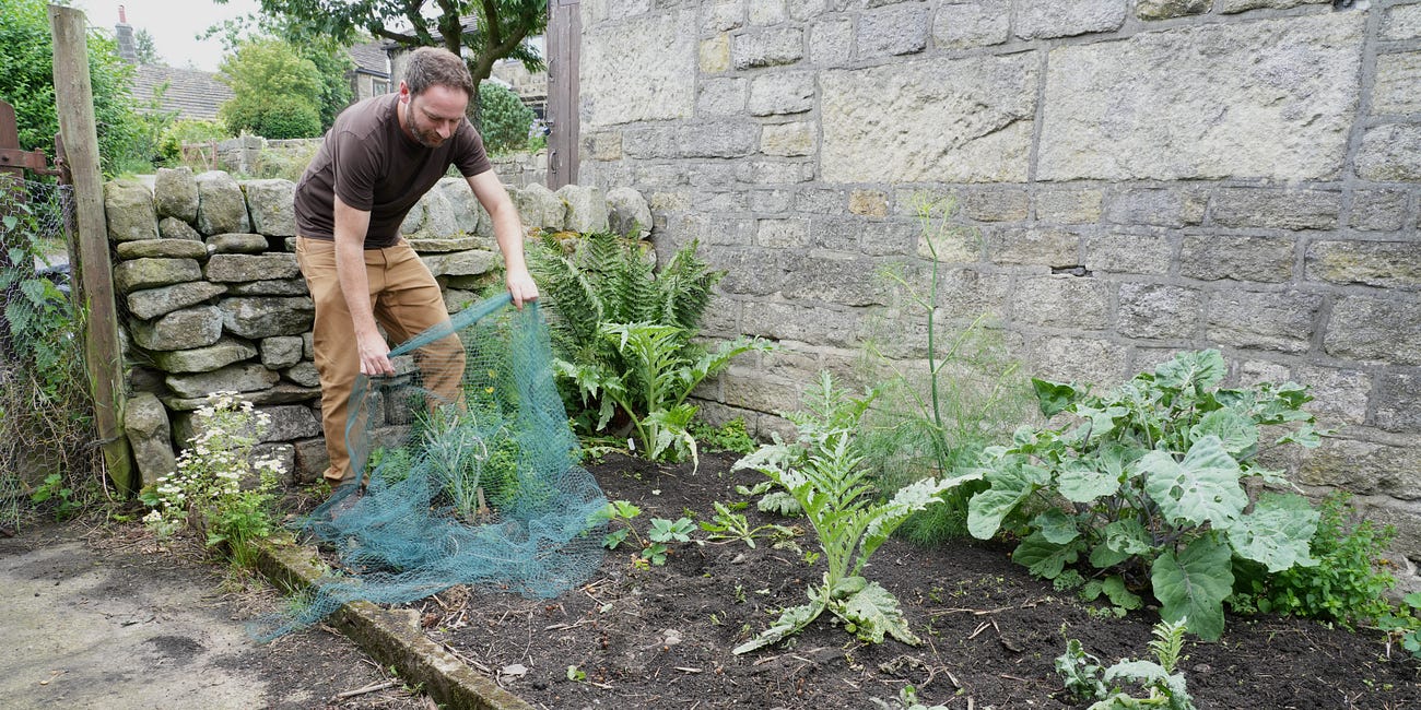Perennial vegetable plant community (Part Two)