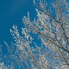 How a Winter Walk Solved a Writing Problem