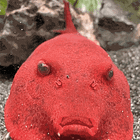 Miss United States Vs. This D*ck! Tabs, Thurs., Aug. 7, 2025