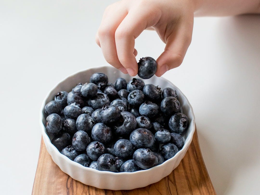 person holding bowl of black berries person holding bowl of black berries