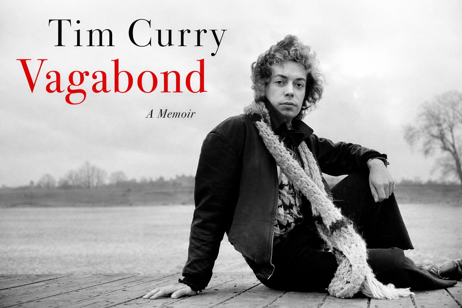 Vagabond by Tim Curry [Book Review]