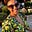 Sarah Sirajeddine's avatar