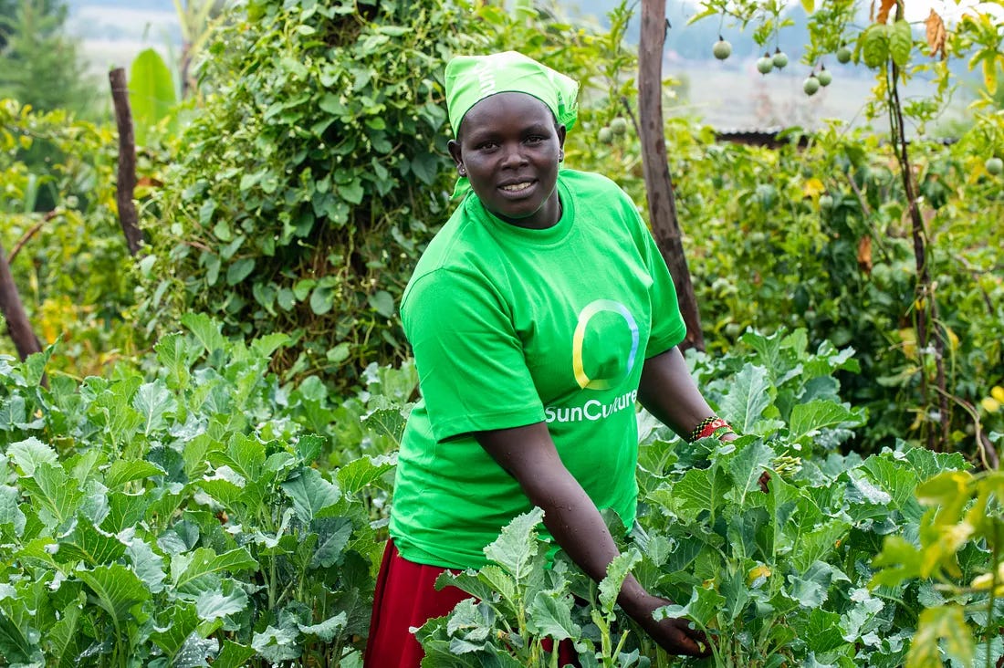 SunCulture is providing access to irrigation solutions across Africa  through solar energy and IoT - 2030.solutions