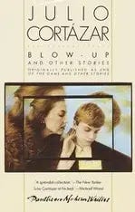 Image result for blow-up and other stories