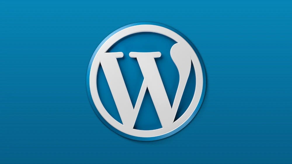 The WordPress logo on a blue background
