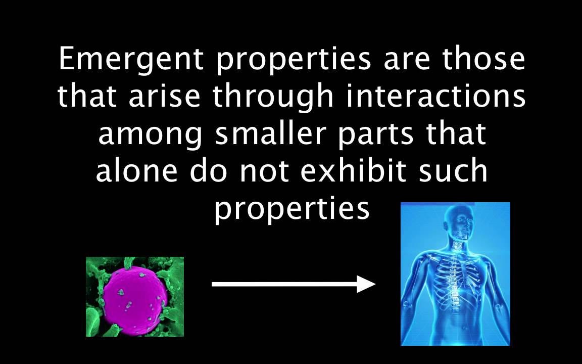 1.1 Emergent Properties - YouTube