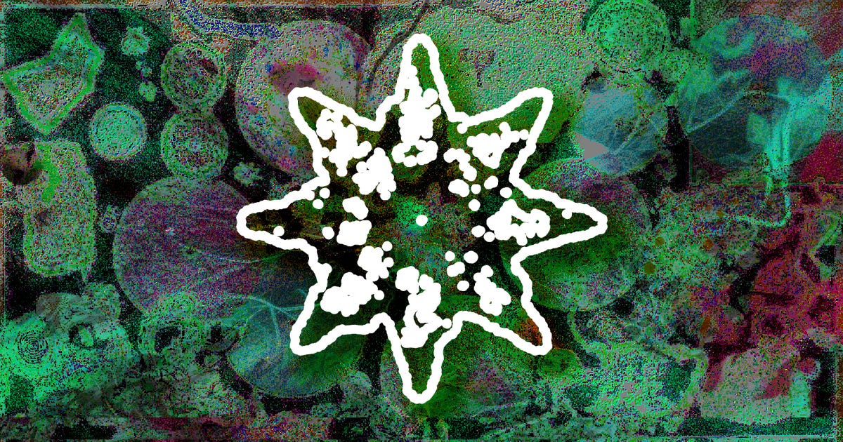 2026 Protocol Symposium: New Nature