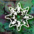 2026 Protocol Symposium: New Nature