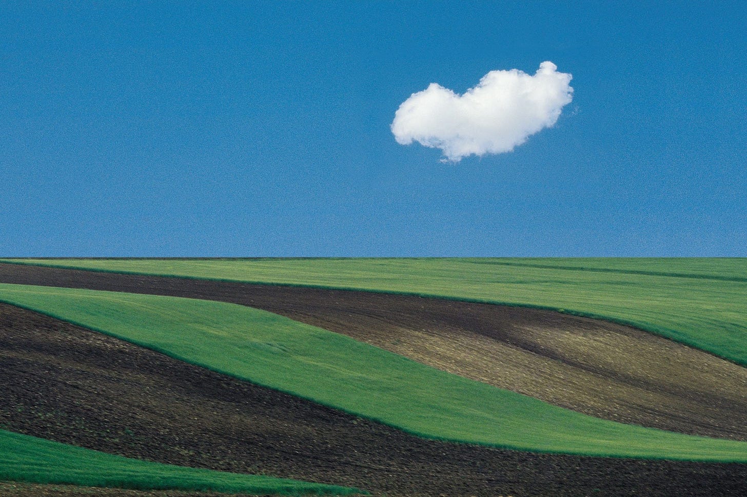 Franco Fontana - Photo & Contemporary