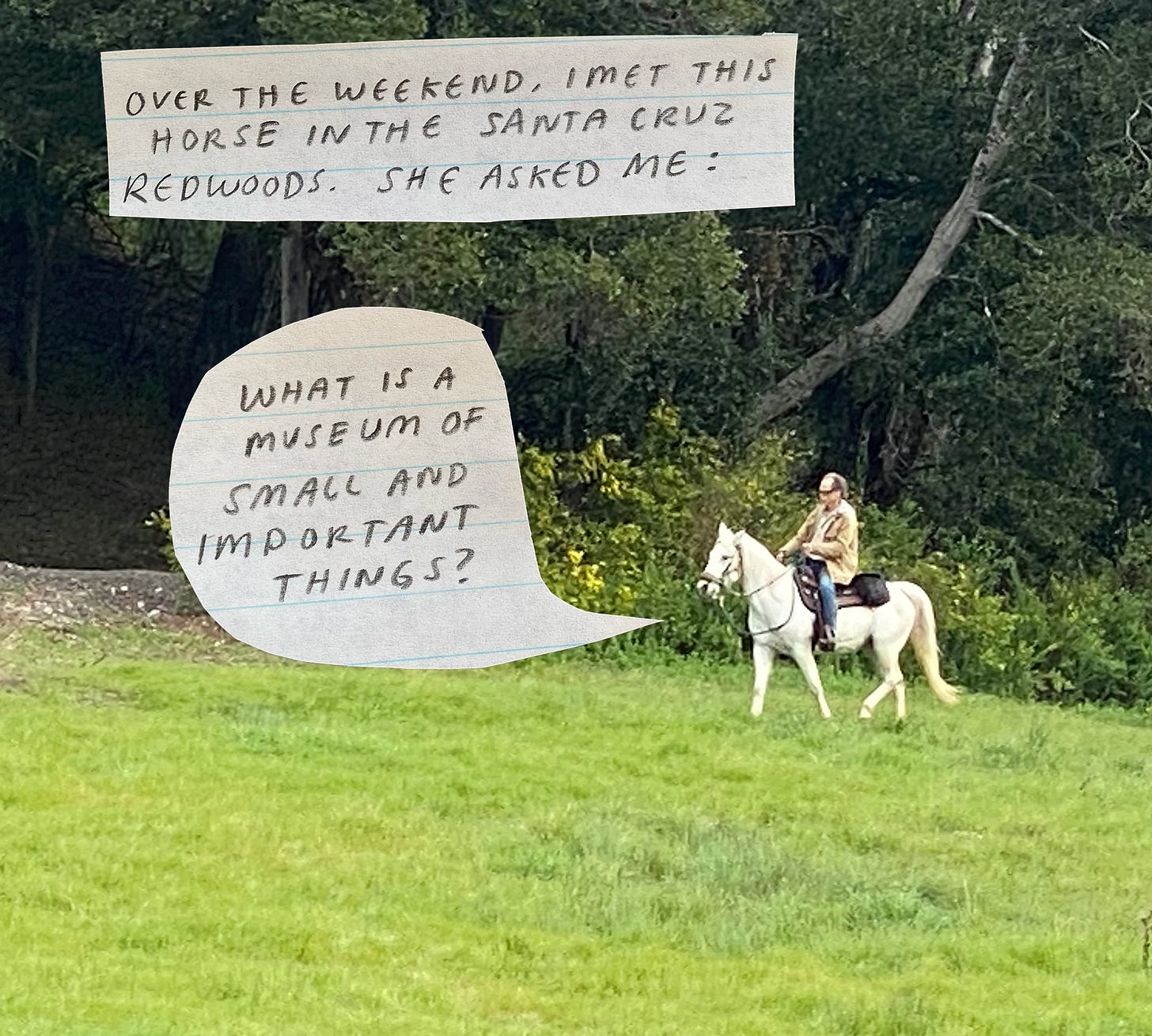 Over the weekend, I met a horse in the Santa Cruz redwoods. She asked me: what is a museum of small and important things?