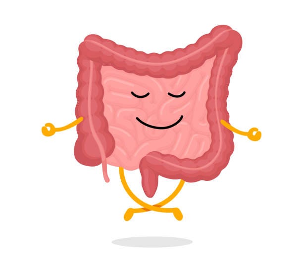 Cute Cartoon Healthy Human Intestines Character Relaxation Meditate Funny  Intestine Mascot Meditation In Lotus Yoga Pose Cartoon Gut Good Condition  Digestive Internal Organ Bowel Calm And Relax-vektorgrafik och fler bilder  på Buk -