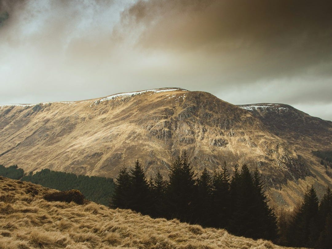 a view of a grassy field with a mountain in the background a view of a grassy field with a mountain in the background