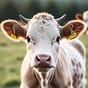 … moooove over repugnicans's avatar