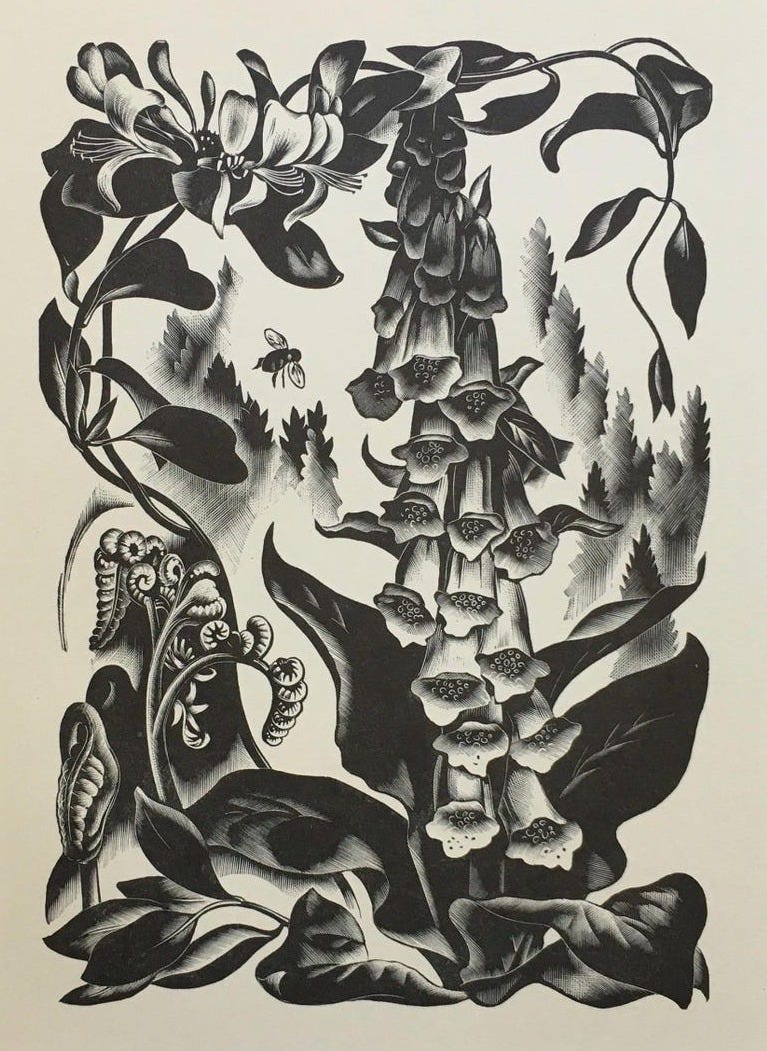 May include: Black and white woodcut print of a floral arrangement featuring a bee, honeysuckle, and foxglove flowers. May include: Black and white woodcut print of a floral arrangement featuring a bee, honeysuckle, and foxglove flowers.