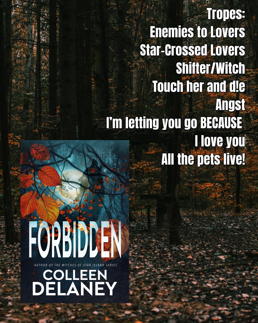 List of Tropes for Colleen Delaney's Forbidden: Enemies to lovers, star-crossed lovers, shifter/witch, "touch her and die," angst, "I'm letting you go because I love you." all the pets live!
