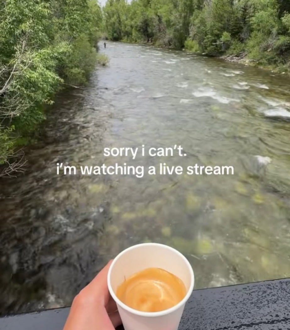 Picture of a moving stream with a cup of coffee in the foreground and text, "sorry I can't. i'm watching a live stream."