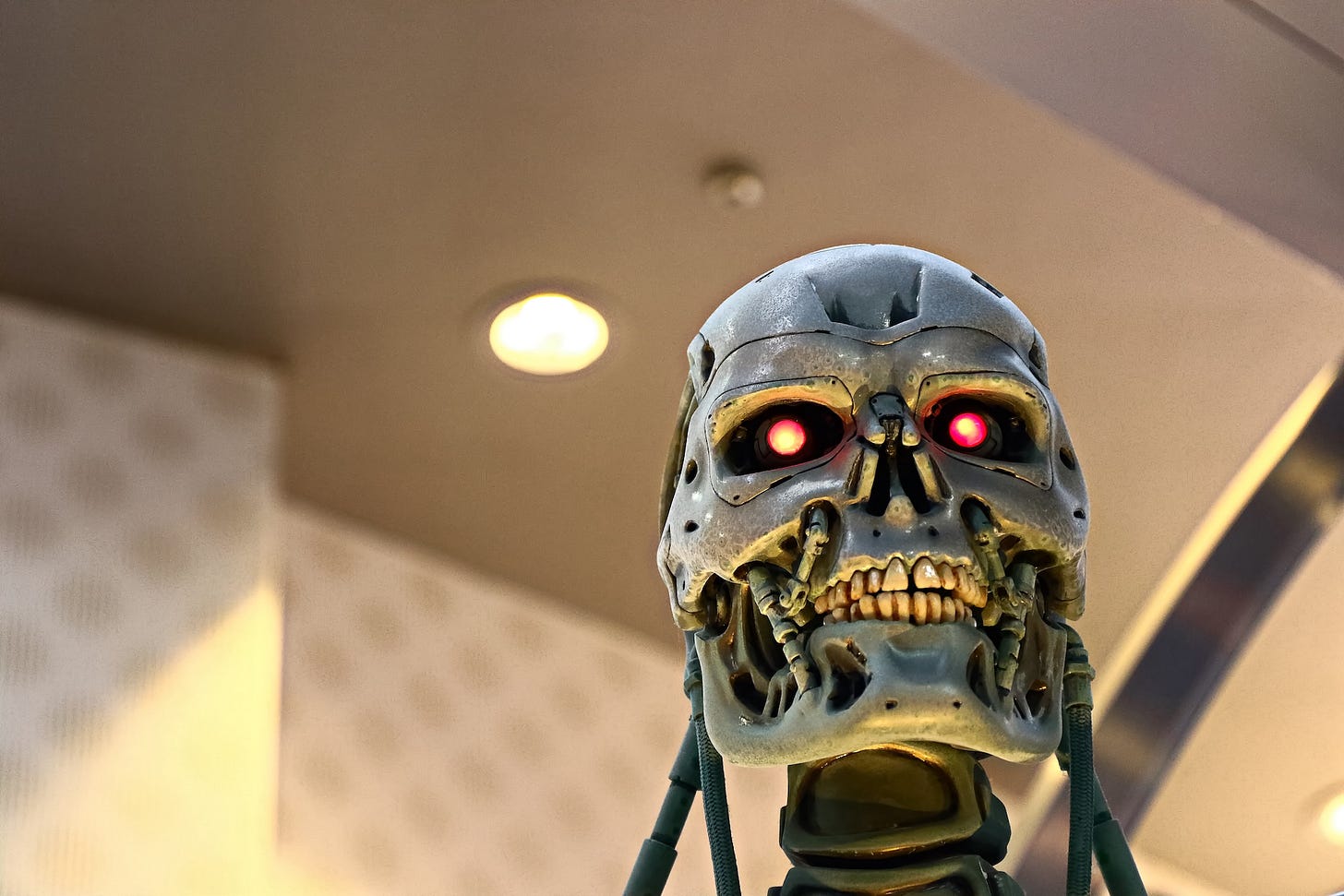 Shutterstock photo fair use