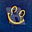 S J's avatar