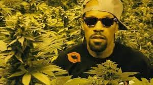 Redman vous apprend à rouler un blunt !