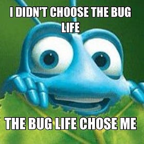 immigrant eldest daughters stay in line franz kafka's metamorphosis will find you soon enough