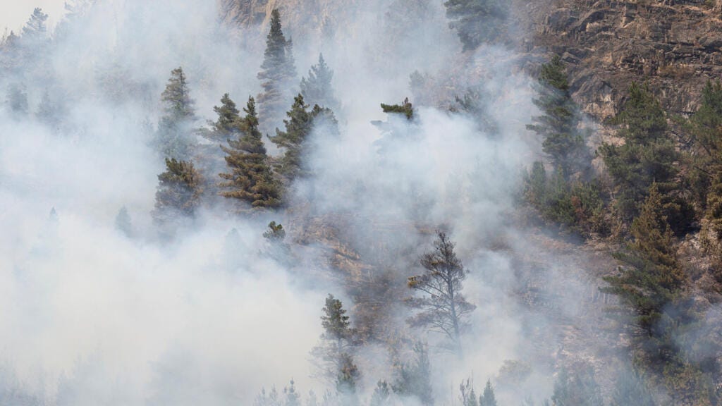 Arde la Patagonia: ¿Cuál es el impacto real de los incendios en el sur de  Argentina? - France 24