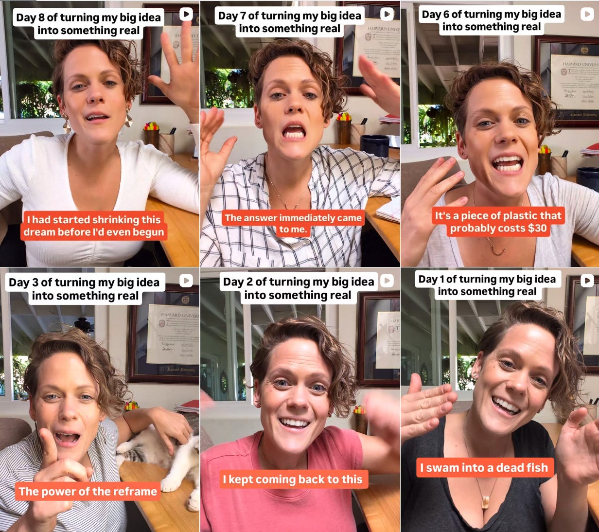 A grid of nine Instagram reel thumbnails from Caroline Davis's "Turning My Big Idea into Something Real" series