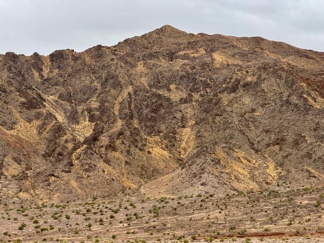 Mountain and desert scenes, wild burros