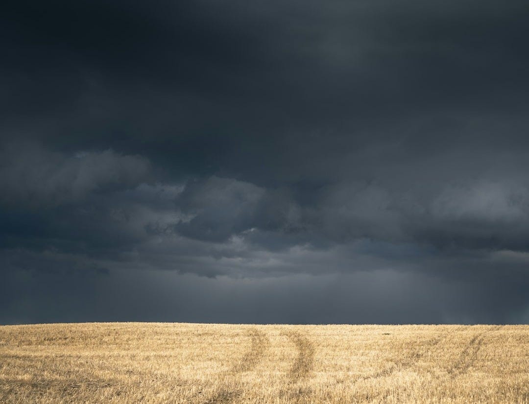 brown grass field under gray clouds