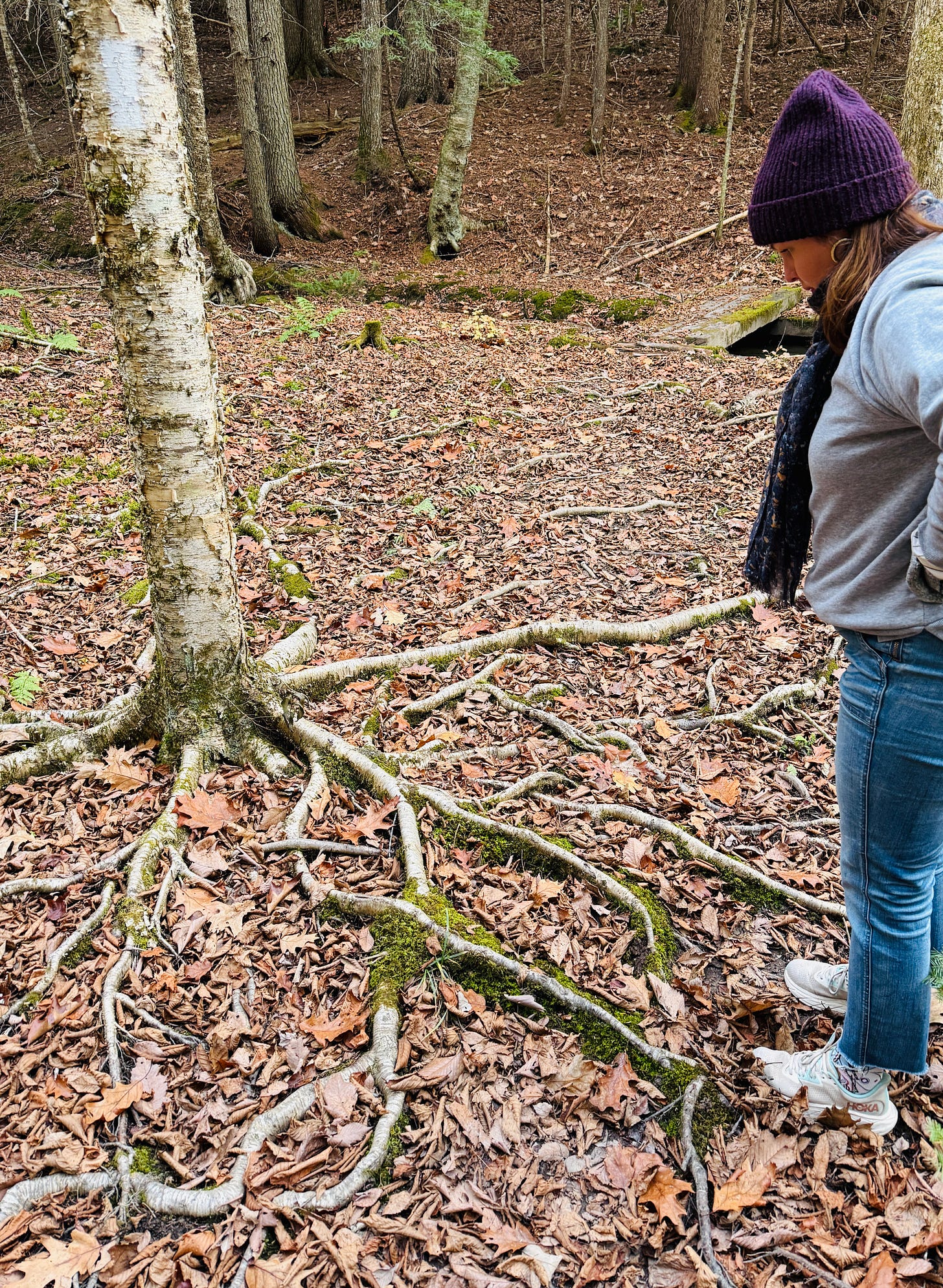 Amber is in the woods. She stares down at long tree roots that are growing above ground in a twisted pattern.
