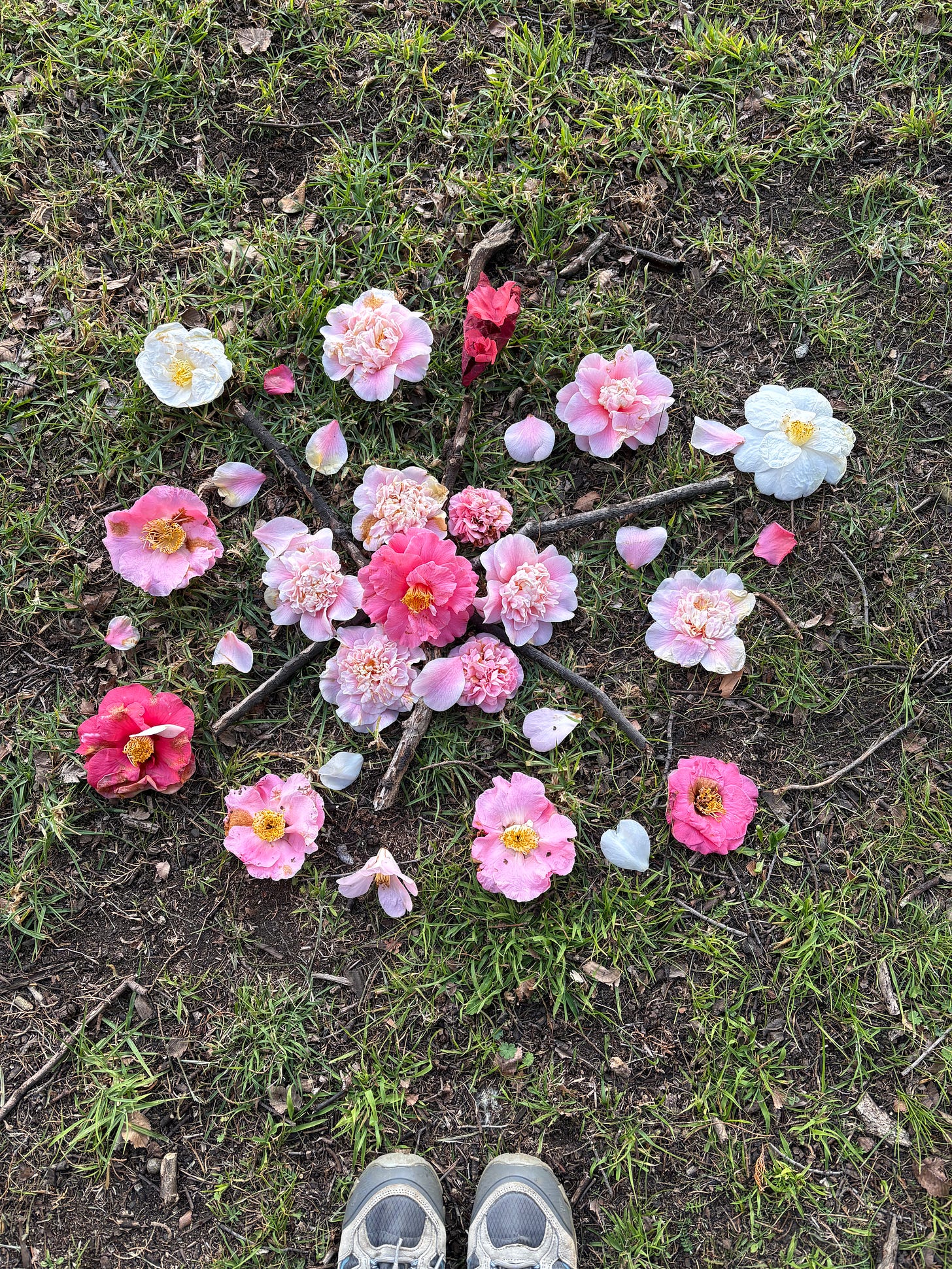A Season of Grief that Changed Everything