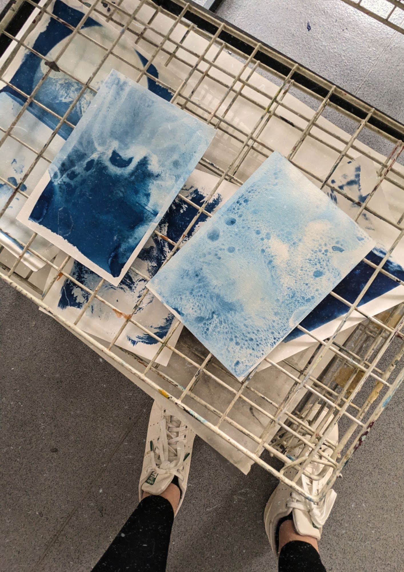 Cyanotype prints on drying rack in art studio